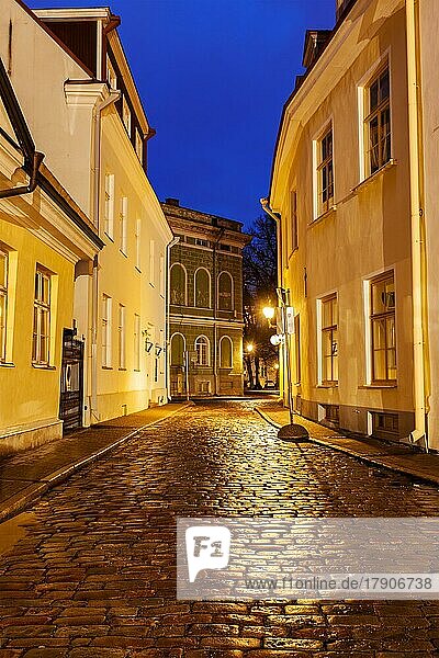 Tallinn Old Town street with cobblestones in night  Estonia  Europe