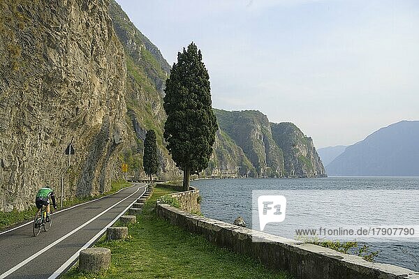Wunderschöner Radweg entlang des Ostufers des Iseosees  Pisogne  Provinz Brescia  Italien  Europa