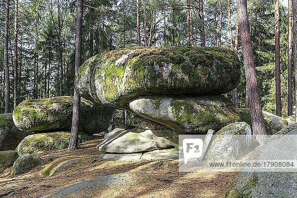 Pilzstein  Granitformation  Naturpark Blockheide  Gmünd  Waldviertel  Niederösterreich  Österreich  Europa