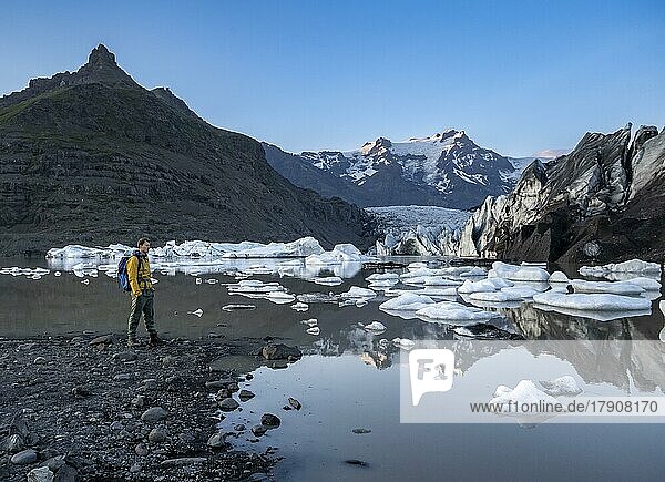 Hikers at a lake  reflection in the Svínafellslon glacier lagoon with ice floes  Svínasfellsjökull glacier tongue  glaciated mountain peak Hrútfjallstindar in the background  at sunset  Svínafell  Iceland  Europe