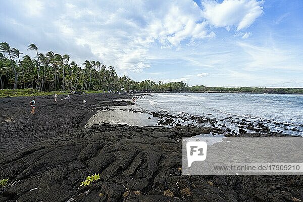 Punalu'u Black Sand beach (Pahala)  Big Island  Hawaii  USA  North America