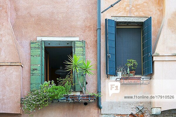Liebevoll gestaltete Fenster an Wohnhäusern  Venedig  Veneto  Italien  Europa