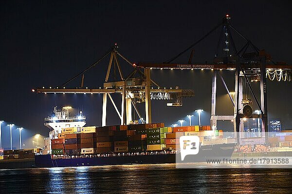 Krane im Containerhafen Hamburg bei Nacht  Deutschland  Europa