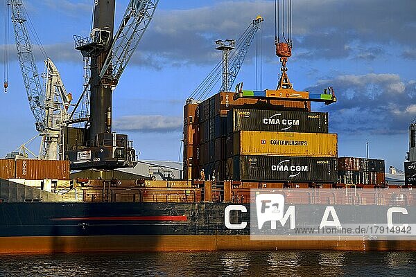 Containerschiff beim Beladen im Steinwerder Hafen am Süd-West-Terminal  Norderelbe  Hamburg  Deutschland  Europa