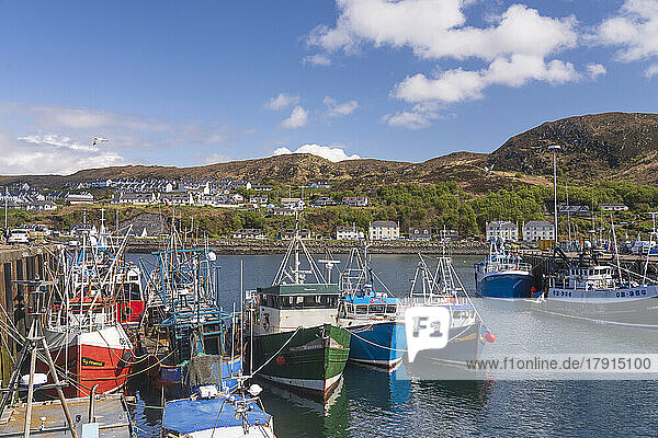 Fischer- und Freizeitboote im Hafen von Mallaig  Highlands  Schottland  Vereinigtes Königreich  Europa