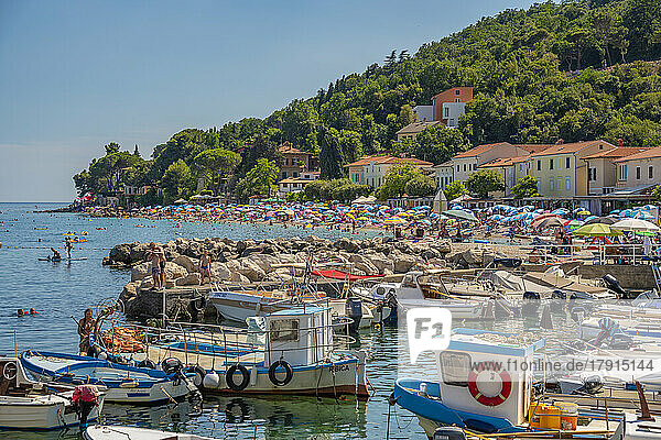 Blick auf Boote im Yachthafen von Moscenicka Draga  Kvarner-Bucht  Ost-Istrien  Kroatien  Europa