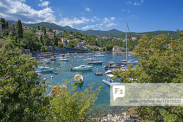 View of boats in the harbour at Ika  Ika  Kvarner Bay  Eastern Istria  Croatia  Europe