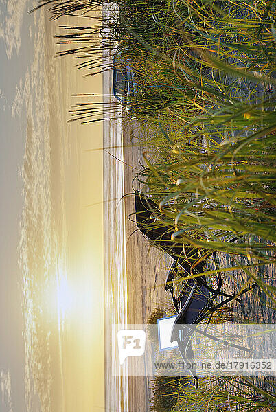 Geöffneter Laptop auf einer Sonnenliege im Schilf am Strand bei Sonnenuntergang.
