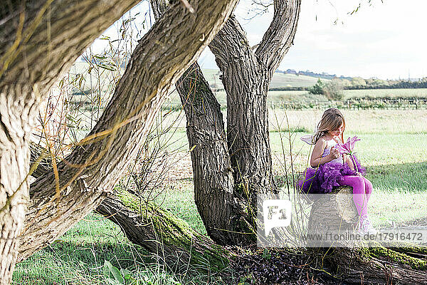 Mädchen sitzt in einem Baum mit ländlicher Landschaft dahinter.