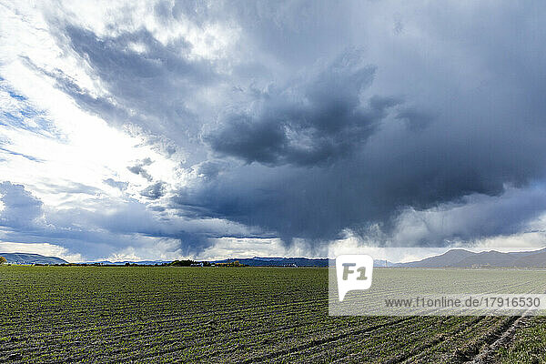 Usa  Idaho  Bellevue  Storm clouds above green field