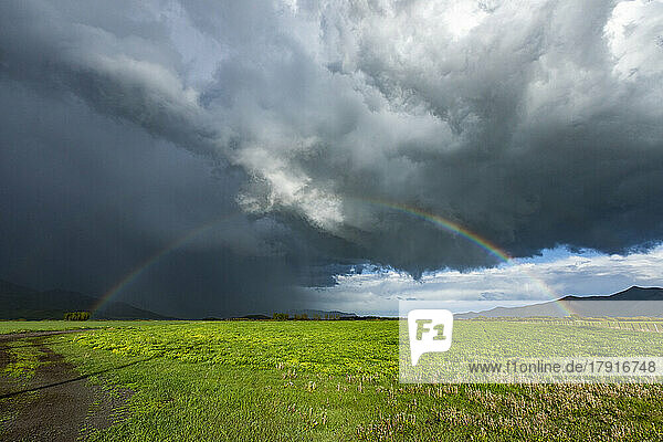 Usa  Idaho  Bellevue  Rainbow and storm clouds over green field near Sun Valley 