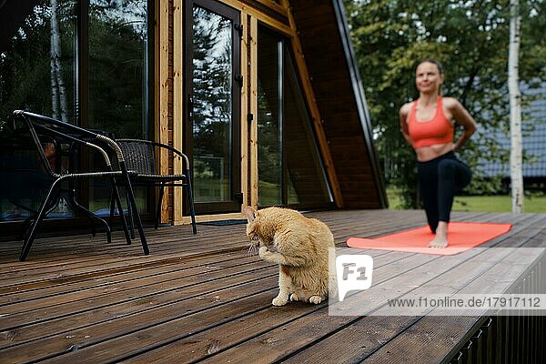 Eine niedliche Katze wird auf einer Holzterrasse angespült  auf der eine Frau Dehnungsübungen macht (Fokus auf den Vordergrund)