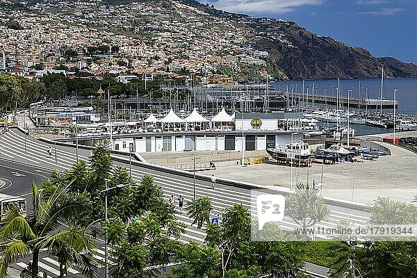View of Funchal city and marina  Madeira  Portugal  Europe