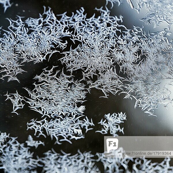 Eiskristalle  Schneekristalle auf Glas  Fensterscheibe einer Wohnung im Winter  Illustration  Symbolbild  Hintergrundbild