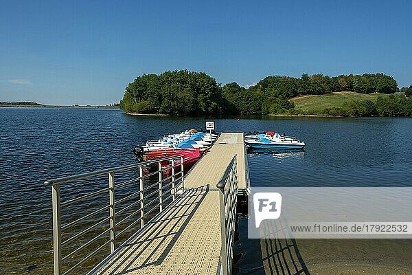 Lake of Lastioulles. Artificial lake of 125 hectares. Hydroelectric network of the Dordogne basin. Canatl department. Auvergne Rhone Alpes. France