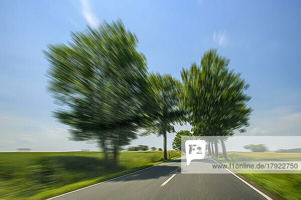 Dynamisches Foto mit Geschwindigkeitseffekt von Fahrt auf Landstraße Allee mit hohes Tempo Geschwindigkeitsüberschreitung von Raser ohne Tempolimit  Deutschland  Europa