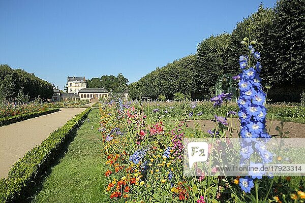 Prinz Georg Garten und Pretlacksche Haus mit blaue Blumen in Darmstadt  Bergstraße  Hessen  Deutschland  Europa