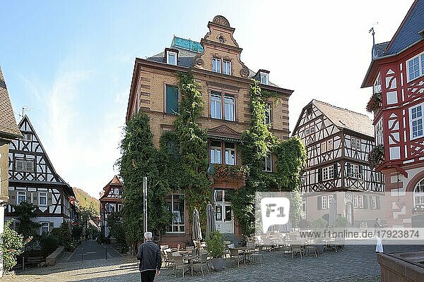 Building overgrown with ivy on the market square in Heppenheim  Bergstrasse  Hesse  Germany  Europe
