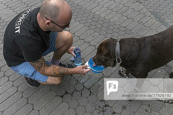Mann gibt seinem Labrador Wasser in einer Schale in der Stadt  Bayern  Deutschland  Europa