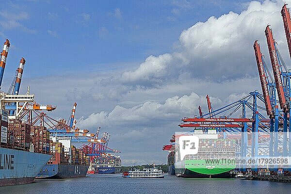 Container ships and excursion boat  paddle steamer Louisiana Star  container terminals Eurogate and Burchardkai  Waltershof  Hamburg  Germany  Europe