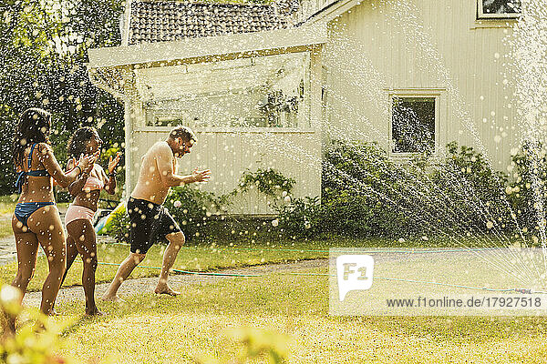 Familie genießt im Wasser durch Sprinkler im Hinterhof während des Urlaubs