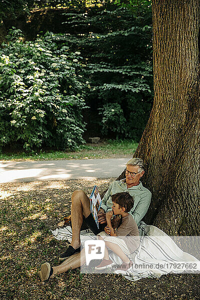 Großvater liest seinem Enkel ein Buch vor  während er im Park unter einem Baum sitzt