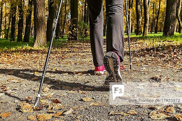 Nordic-Walking-Abenteuer und Trainingskonzept  Frau beim Wandern  Beine und Nordic-Walking-Stöcke in herbstlicher Natur