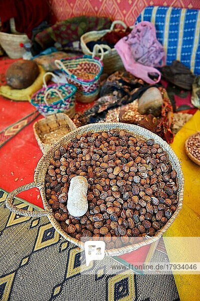 Argan-Nüsse in Körben bei der Kooperative Marjana  Ounara  Essouira  Marokko  bei Essouara  Marokko  Afrika