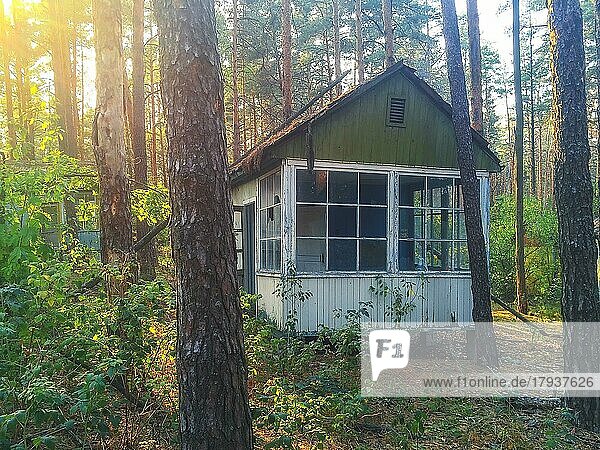 Bungalow im Wald  Kinderferienlager Isumrudnyi  Lost Place  Sperrzone Tschernobyl  Ukraine  Osteuropa  Europa