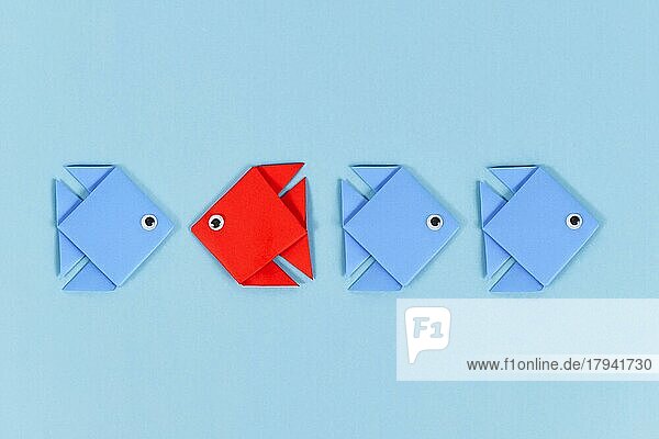 Rote Papierfische schwimmen gegen die Strömung in entgegengesetzter Richtung zu den blauen Fischen