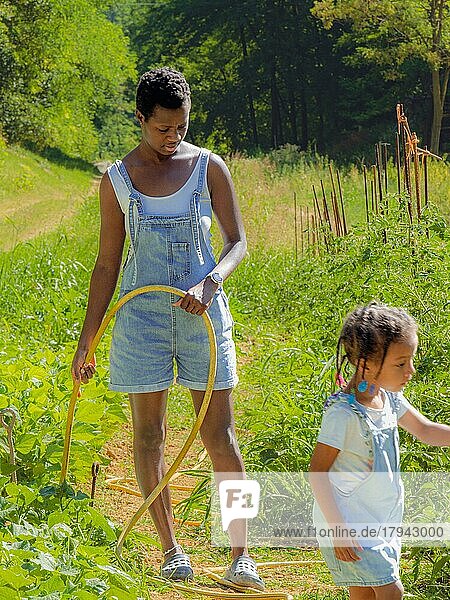 Kurzhaarige junge afrikanische Frau und Tochter  die den Gemüsegarten mit einem Schlauch bewässern und sich um das Gemüse auf dem Bio-Bauernhof kümmern  tragen Jeans-Latzhosen