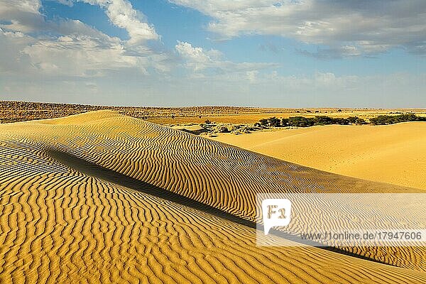 Dünen der Wüste Thar. Sam Sanddünen  Rajasthan  Indien  Asien