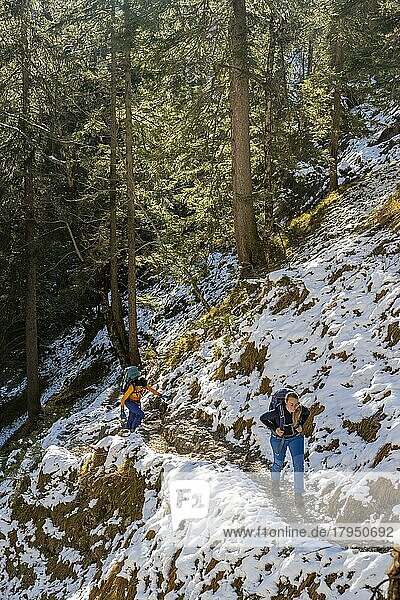 Wanderer auf Wanderweg im Winter  Weg zur Ammergauer Hochplatte  Ammergauer Alpen  Bayern  Deutschland  Europa