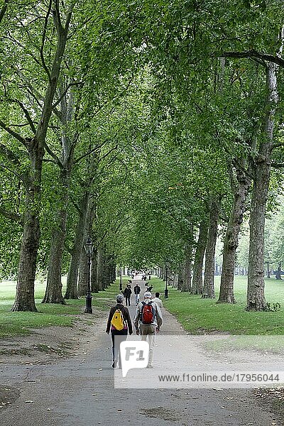 London  England  1. Oktober 2013. Menschen spazieren im Green Park am 1. Oktober 2013