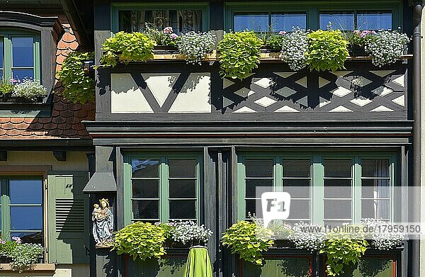 Schwarzwald  Gengenbach  Fachwerkhäuser  Blumen am Fenster außen