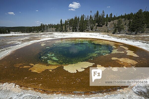 Beauty Pool  Upper Geyser Basin  Yellowstone Nationalpark  Wyoming  USA  Nordamerika