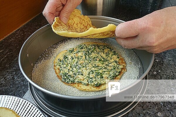 Swabian cuisine  pancakes  pancake layers with spinach mixture  springform pan  cake tin  preparing spinach cake spoon style  Swabian speciality  men's hands  Germany  Europe