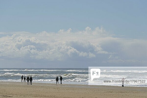 Menschen am Strand im Frühling  Noordwijk aan Zee  Nordsee  Südholland  Niederlande  Europa