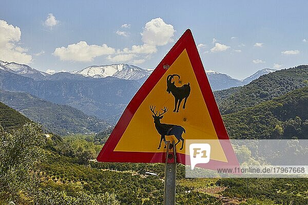 Frühling auf Kreta  Verkehrsschild Vorsicht Tiere  grüne Hügellandschaft  schneebedeckte Berge  Lefka Ori  Weiße Berge  hellblauer Himmel  weiße Wolken  Insel Kreta  Griechenland  Europa