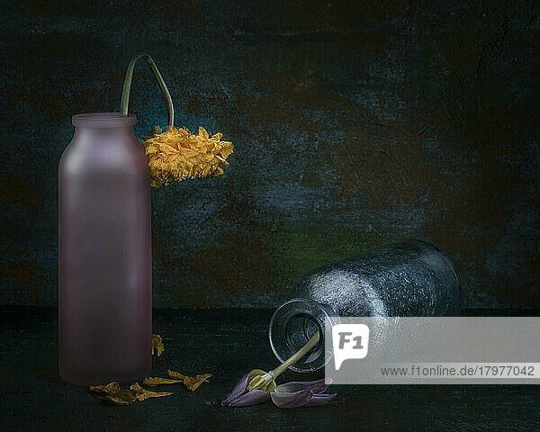 Thema Leben und Tod  Stillleben mit verblühten Blüten in bunten Glasvasen  Studioaufnahme  Symbolfoto