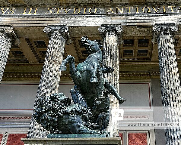 Löwenkämpfer vor dem Alten Museum  Berlin  Deutschland  Europa