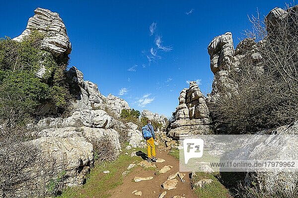 Junger Mann auf Wanderweg  Felsformationen aus Kalkstein  Naturschutzgebiet El Torcal  Torcal de Antequera  Provinz Malaga  Andalusien  Spanien  Europa