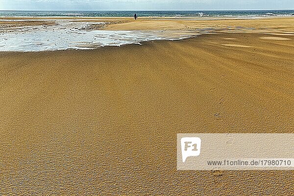 Wind weht über Strukturen im Sand  Fußspuren  Fußabdrücke am rötlichen Strand  Textfreiraum  Rauðisandur  Raudisandur  bei Patreksfjördur  Vestfirðir  Westfjorde  Island  Europa