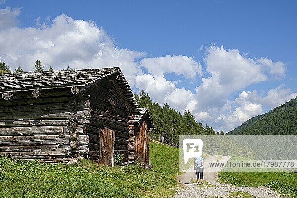 Hikers in front of old haystacks  Lazinser Hof  along the Panorama Trail  Pfelders  Pfelderer Tal  Texel Group nature Park  South Tyrol  Italy  Europe