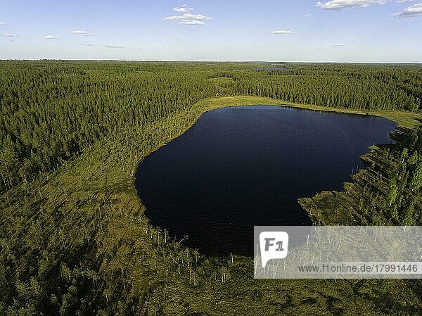 Lake,  bog and forests near Suomussalmi,  aerial view,  Kainuu,  Finland,  Europe