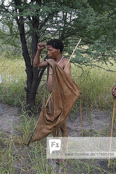 Die Buschmänner sind die ältesten Bewohner des südlichen Afrikas  alle seine Werkzeuge und Waffen werden in einer Tierhaut getragen