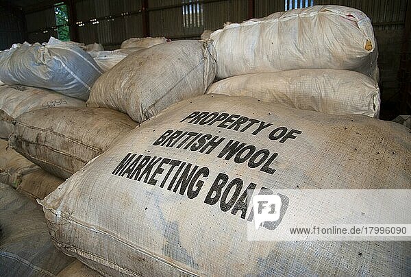 Wollsäcke bereit für den Transport zum British Wool Marketing Board Bradford Centre  Jervaulx  Masham  Ripon  North Yorkshire  England  August