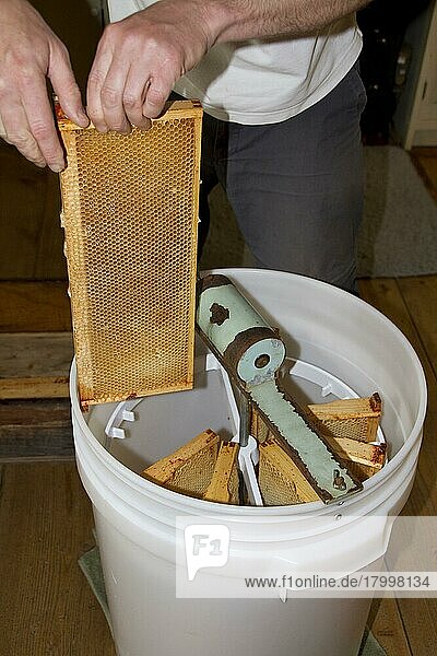 Die Wabenrahmen werden in eine Schleudertrommel gelegt und dann mit hoher Geschwindigkeit geschleudert  um den Honig von den Waben zu trennen
