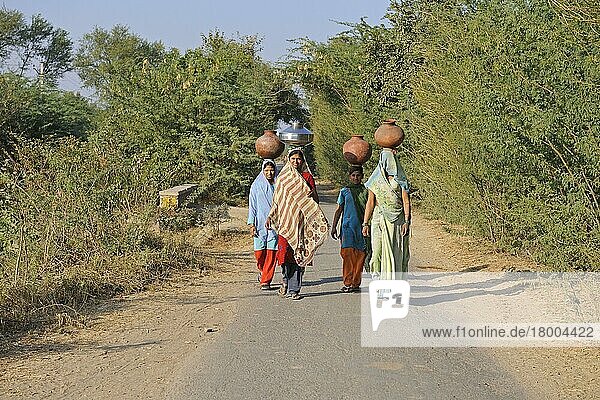 Indische Mädchen tragen Wasserbehälter auf dem Kopf  in der Nähe von Bharatpur  Rajasthan  Indien  Dezember  Asien