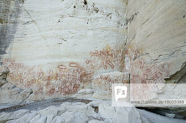 Felskunst der Aborigines  Schablonenkunst  ca. 2000 Jahre alt  zeigt Darstellungen von Händen  Bumerangs  Felswallabyknochen und Emu-Füßen  Kunstgalerie  Carnarvon Gorge  Carnarvon N. P. Queensland  Australien  Ozeanien